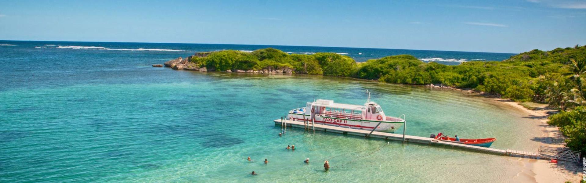 Randoeco-Steanne-64-h