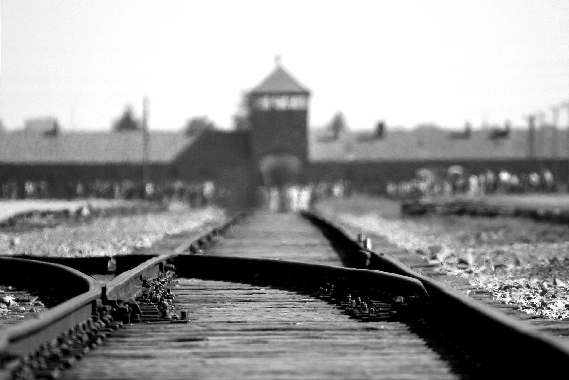 birkenau-402324_1920