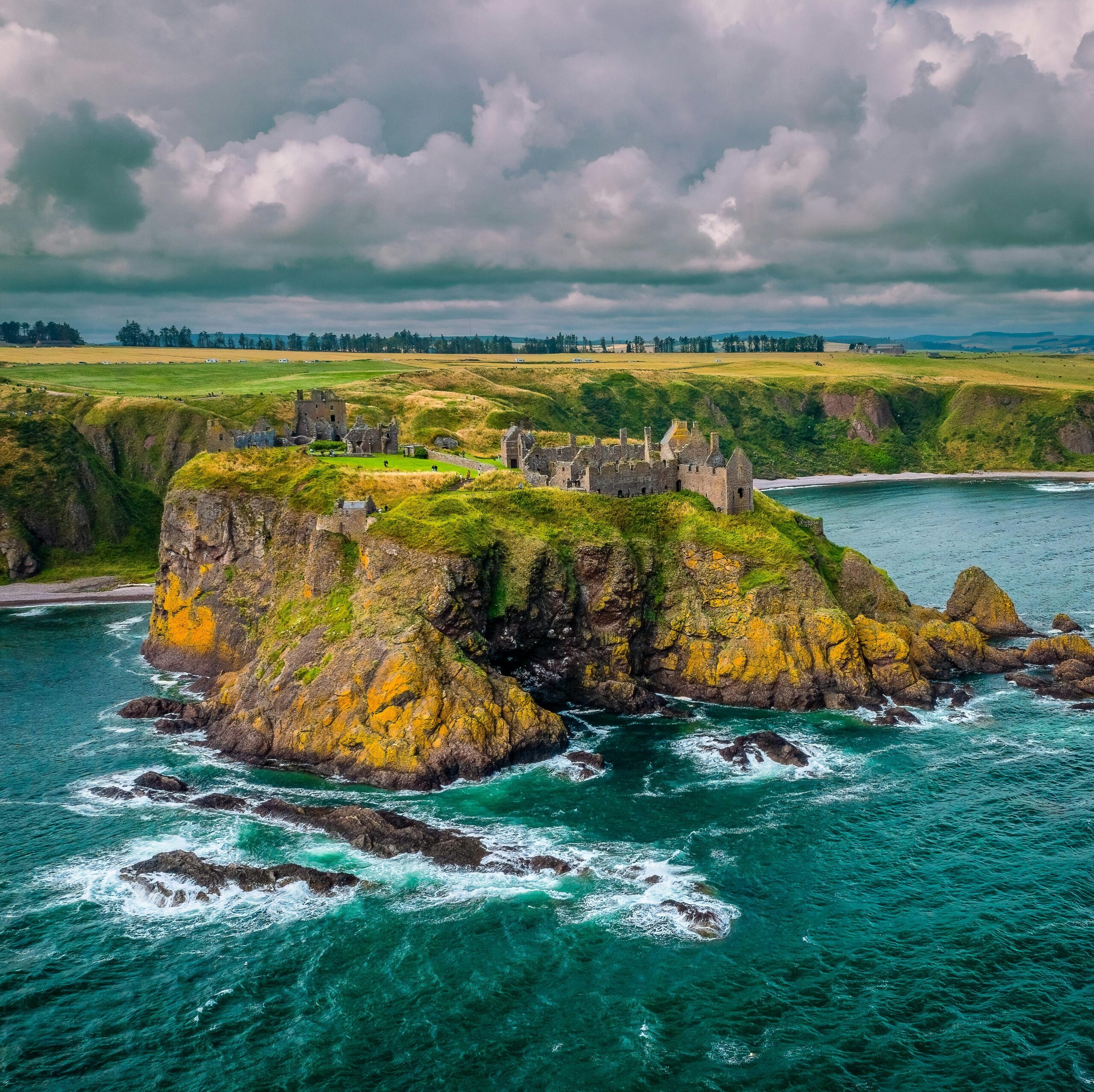 pexels-andy-fotheringham-18969331