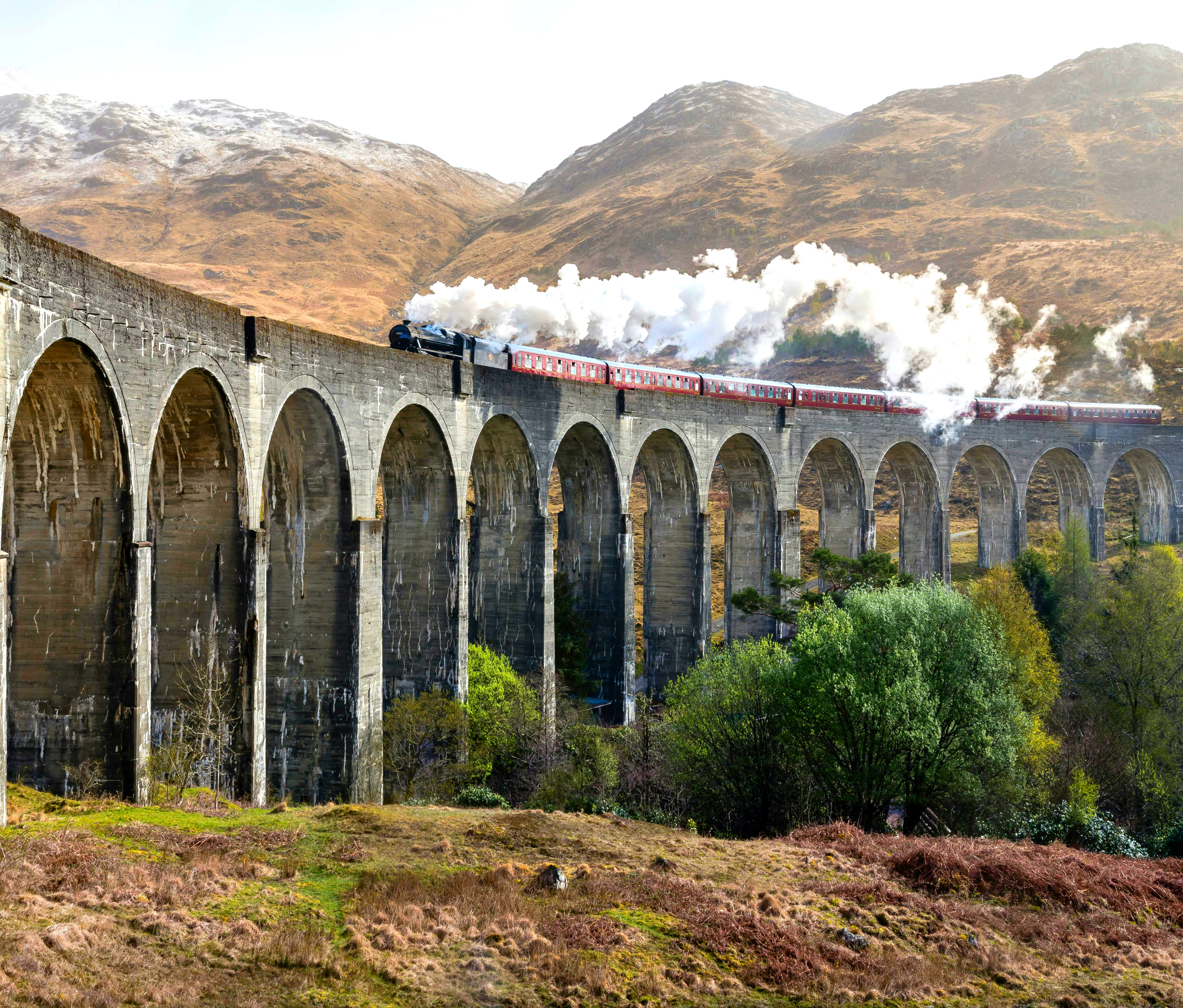 pexels-gabriela-palai-507410